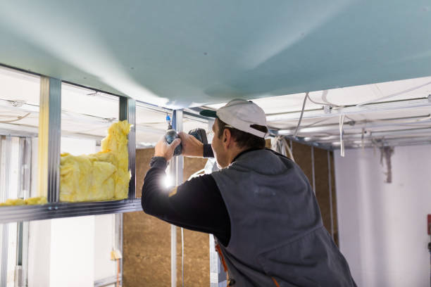 Professional Insulation Contractor in Lake Wisconsin, WI