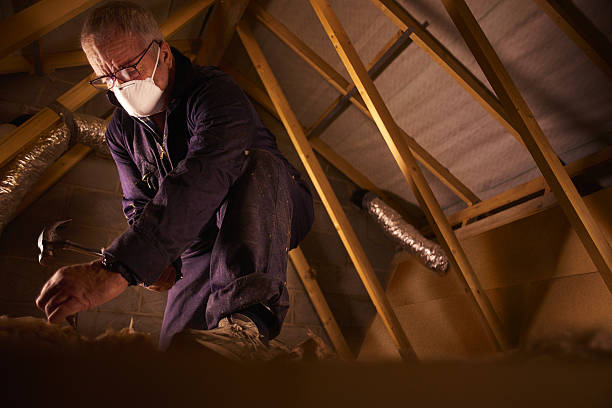 Best Cellulose Insulation in Lake Sconsin, WI